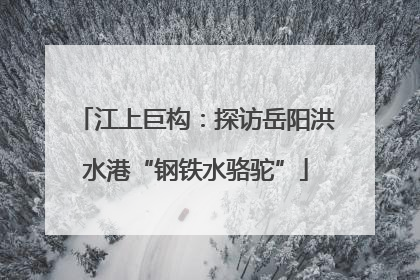 江上巨构：探访岳阳洪水港“钢铁水骆驼”