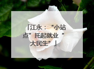江永：“小站点”托起就业“大民生”