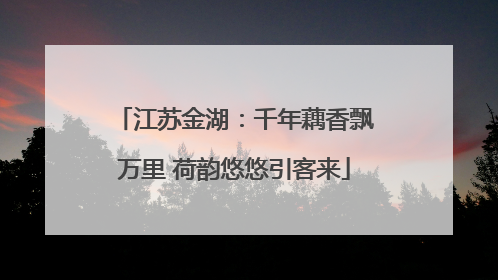 江苏金湖：千年藕香飘万里 荷韵悠悠引客来