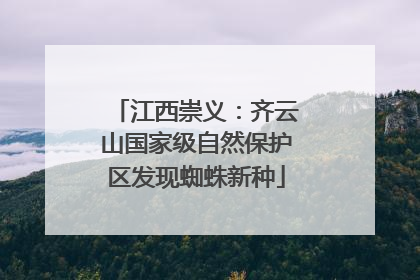 江西崇义：齐云山国家级自然保护区发现蜘蛛新种