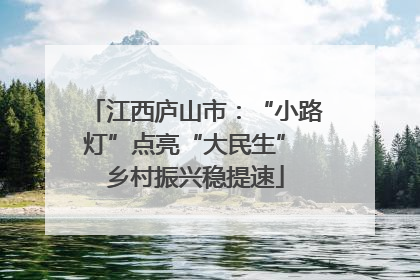 江西庐山市：“小路灯”点亮“大民生” 乡村振兴稳提速