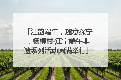 江韵端午，趣意探宁，杨柳村·江宁端午非遗系列活动圆满举行