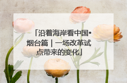 沿着海岸看中国•烟台篇｜一场改革试点带来的变化