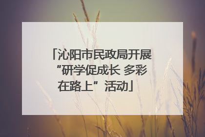 沁阳市民政局开展“研学促成长 多彩在路上”活动