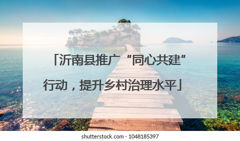沂南县推广“同心共建”行动，提升乡村治理水平