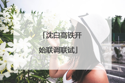 沈白高铁开始联调联试