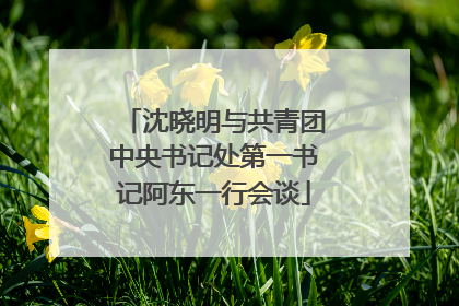沈晓明与共青团中央书记处第一书记阿东一行会谈