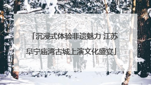 沉浸式体验非遗魅力 江苏阜宁庙湾古城上演文化盛宴
