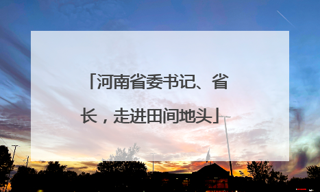 河南省委书记、省长，走进田间地头