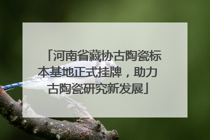 河南省藏协古陶瓷标本基地正式挂牌，助力古陶瓷研究新发展