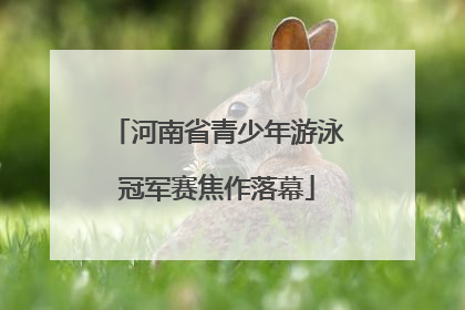 河南省青少年游泳冠军赛焦作落幕