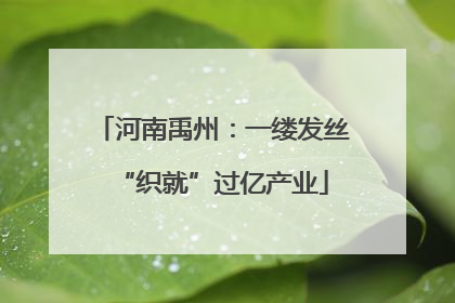 河南禹州：一缕发丝“织就”过亿产业