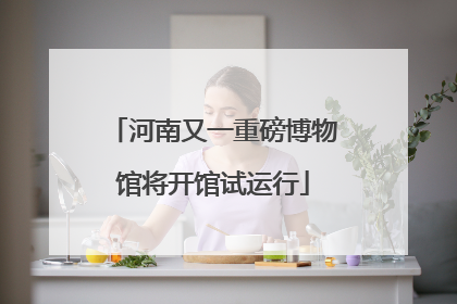 河南又一重磅博物馆将开馆试运行
