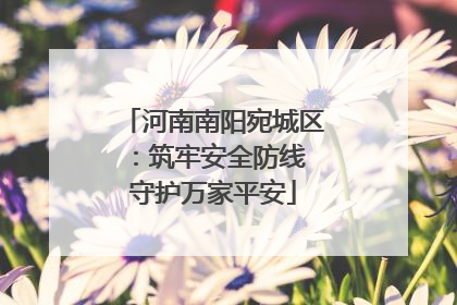 河南南阳宛城区：筑牢安全防线 守护万家平安
