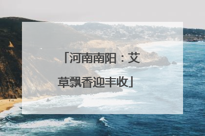 河南南阳：艾草飘香迎丰收