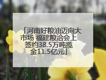 河南好粮油迈向大市场 福建粮洽会上签约38.5万吨揽金11.5亿元