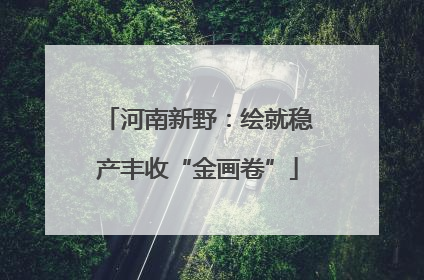 河南新野：绘就稳产丰收“金画卷”