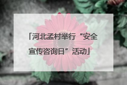河北孟村举行“安全宣传咨询日”活动