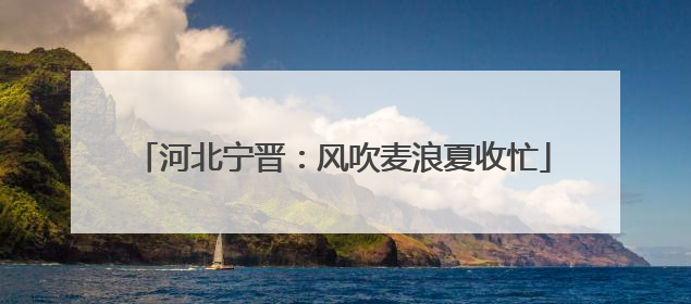 河北宁晋：风吹麦浪夏收忙
