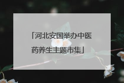 河北安国举办中医药养生主题市集