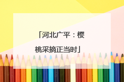河北广平：樱桃采摘正当时
