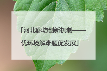 河北廊坊创新机制——优环境解难题促发展