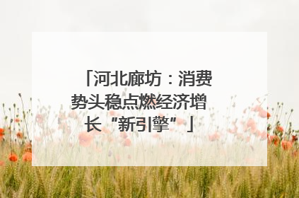 河北廊坊：消费势头稳点燃经济增长“新引擎”