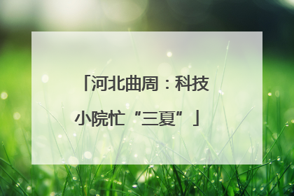 河北曲周：科技小院忙“三夏”