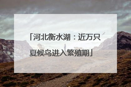 河北衡水湖：近万只夏候鸟进入繁殖期