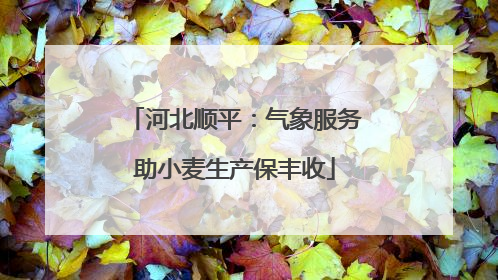 河北顺平：气象服务助小麦生产保丰收