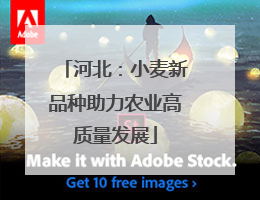 河北：小麦新品种助力农业高质量发展
