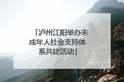 泸州江阳举办未成年人社会支持体系共建活动