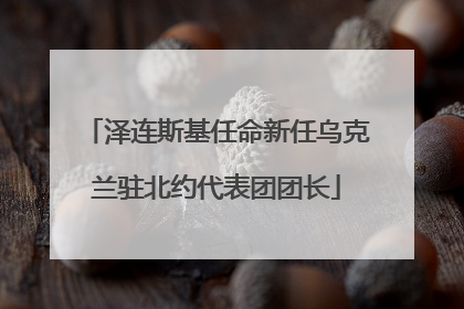 泽连斯基任命新任乌克兰驻北约代表团团长