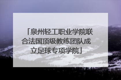 泉州轻工职业学院联合法国顶级教练团队成立足球专项学院