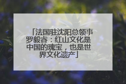 法国驻沈阳总领事罗毅睿：红山文化是中国的瑰宝，也是世界文化遗产