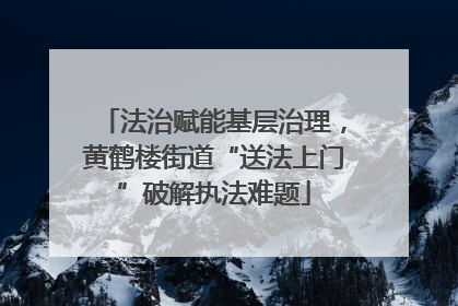 法治赋能基层治理，黄鹤楼街道“送法上门”破解执法难题