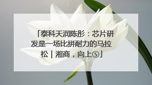 泰科天润陈彤：芯片研发是一场比拼耐力的马拉松｜湘商，向上⑤