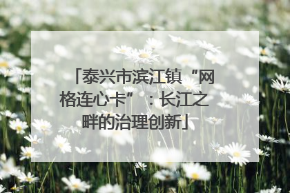 泰兴市滨江镇“网格连心卡”：长江之畔的治理创新