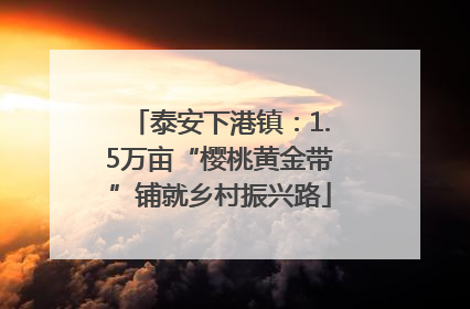 泰安下港镇：1.5万亩“樱桃黄金带”铺就乡村振兴路