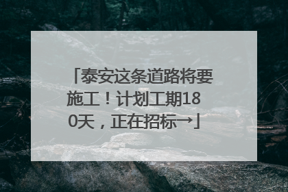 泰安这条道路将要施工！计划工期180天，正在招标→