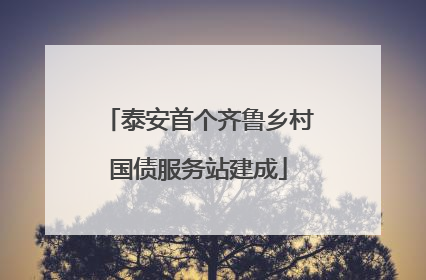 泰安首个齐鲁乡村国债服务站建成