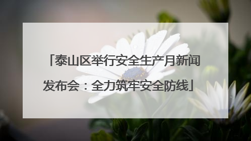 泰山区举行安全生产月新闻发布会：全力筑牢安全防线