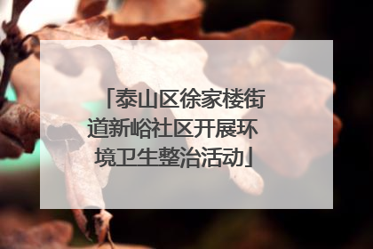 泰山区徐家楼街道新峪社区开展环境卫生整治活动
