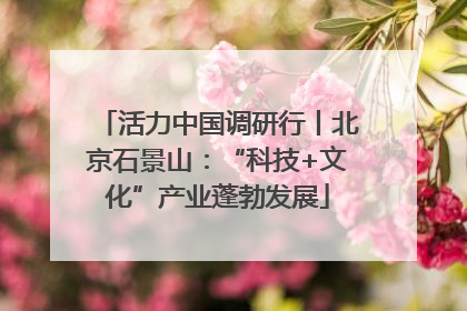 活力中国调研行丨北京石景山：“科技+文化”产业蓬勃发展