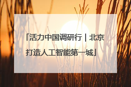 活力中国调研行｜北京打造人工智能第一城
