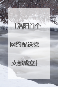 洛阳首个网约配送党支部成立