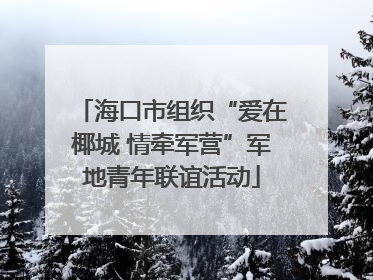 海口市组织“爱在椰城 情牵军营”军地青年联谊活动