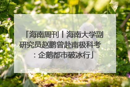 海南周刊丨海南大学副研究员赵鹏曾赴南极科考：企鹅都市破冰行