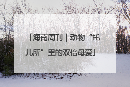 海南周刊｜动物“托儿所”里的双倍母爱