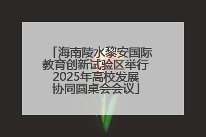 海南陵水黎安国际教育创新试验区举行2025年高校发展协同圆桌会会议